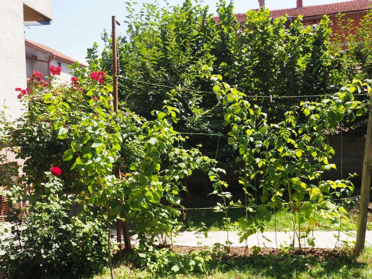 וראנג'ה Guest House Stefanovic מראה חיצוני תמונה